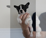 Small #13 Breeder Profile image