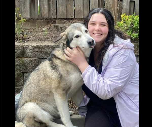 Medium Photo #1  Breeder Profile in HILLSBORO, OR, USA