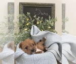 Small #15 Breeder Profile image