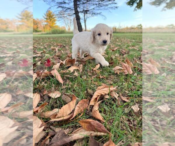 Medium Photo #13  Breeder Profile in MIDDLETOWN, OH, USA