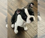 Small #1 Breeder Profile image