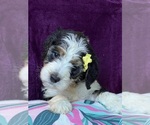 Small #5 Breeder Profile image