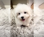 Small #8 Breeder Profile image