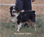 Small #8 Breeder Profile image
