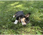 Small #10 Breeder Profile image
