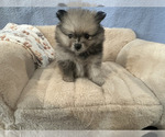 Small #10 Breeder Profile image