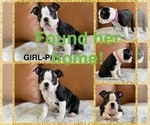 Small #6 Breeder Profile image