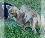 Small #36 Breeder Profile image