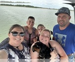 Small Photo #23  Breeder Profile in WAXAHACHIE, TX, USA