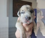 Small #5 Breeder Profile image