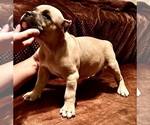 Small #6 Breeder Profile image