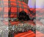 Small #7 Breeder Profile image