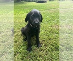 Small #3 Breeder Profile image