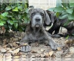 Small #1 Breeder Profile image