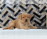 Small #10 Breeder Profile image