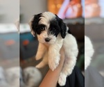 Small #7 Breeder Profile image
