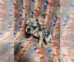 Small #4 Breeder Profile image
