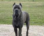 Small #20 Breeder Profile image