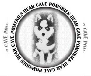 Pomsky Dog Breeder in WHEELING,  USA