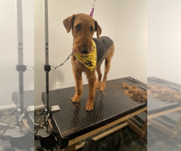 Medium Photo #1  Breeder Profile in NORTH CHARLESTON, SC, USA