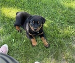 Small #3 Breeder Profile image
