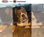 Small #2 Breeder Profile image