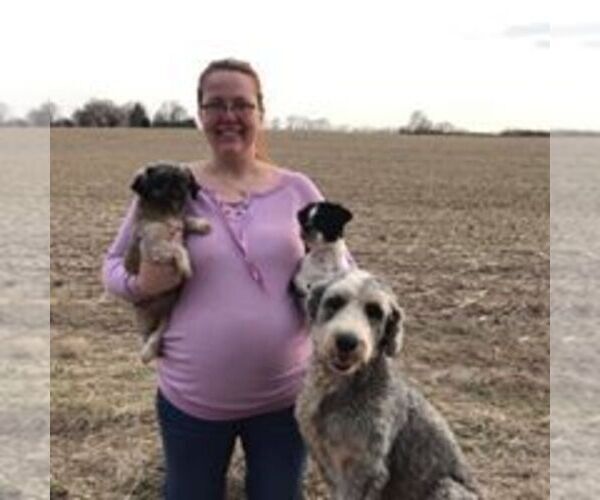 Medium Photo #1  Breeder Profile in WAVERLY, IA, USA