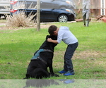 Small #39 Breeder Profile image