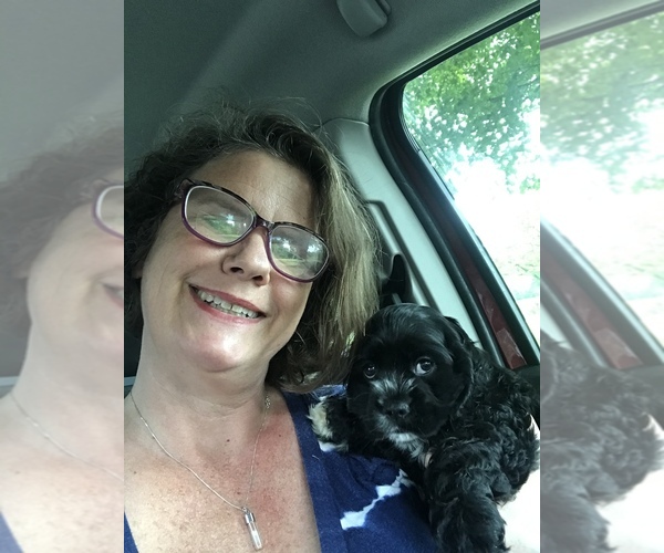 Medium Photo #1  Breeder Profile in GREENBRIER, TN, USA