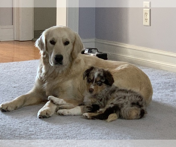Medium Photo #1  Breeder Profile in JESUP, GA, USA