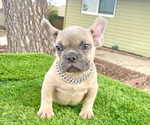 Small #2 Breeder Profile image