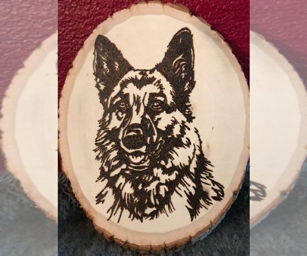 Medium Photo #1  Breeder Profile in SACRAMENTO, CA, USA