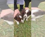 Small #1 Breeder Profile image