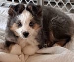 Small #21 Breeder Profile image