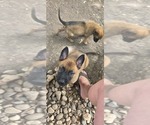Small #18 Breeder Profile image