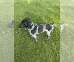 Small #1 Breeder Profile image