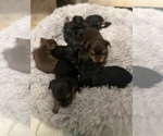 Small #3 Breeder Profile image
