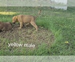 Small #2 Breeder Profile image