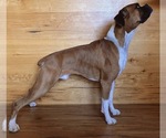 Small #3 Breeder Profile image