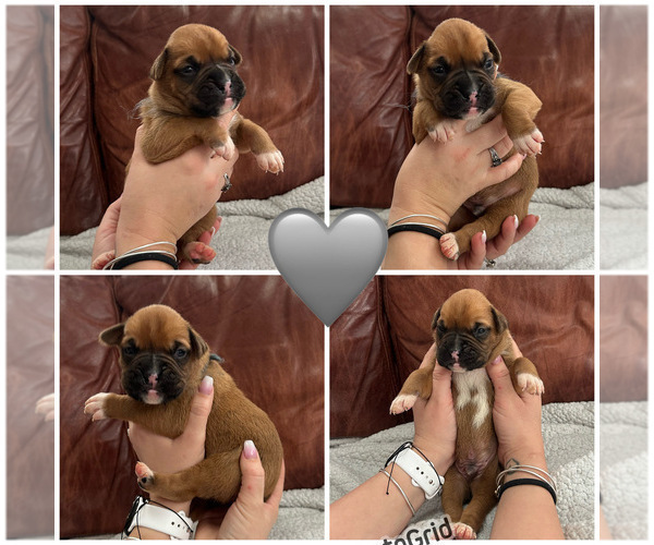 Medium Photo #6  Breeder Profile in EAST FREETOWN, MA, USA