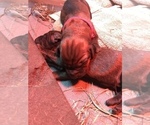 Small #2 Breeder Profile image