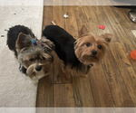 Small #8 Breeder Profile image
