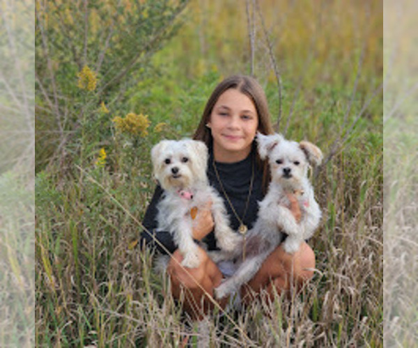 Medium Photo #9  Breeder Profile in FARMINGTON, MN, USA