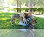 Small #14 Breeder Profile image