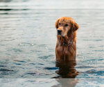 Small #1 Breeder Profile image
