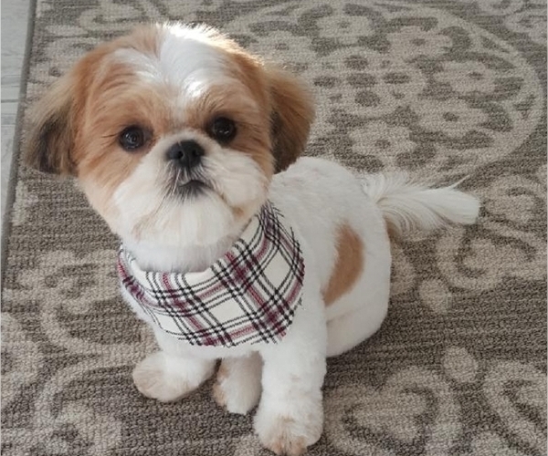 Medium Photo #2  Breeder Profile in Walworth, NY, USA