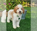 Small #3 Breeder Profile image