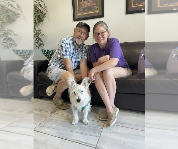 Medium Photo #3  Breeder Profile in S CHARLESTON, WV, USA