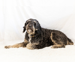 Small #9 Breeder Profile image