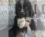 Small #27 Breeder Profile image